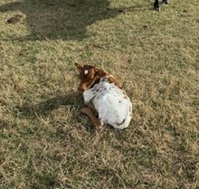 RJF TOP SHELF COCKTAIL X COLLUDER TAG 600