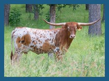 DBL-K TWICE DISRESPECTED