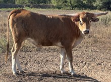 BR Keepin’ it Real