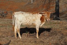 LSLH Stay a lil Longer