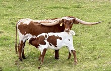 Hubbells Roman Rivers 