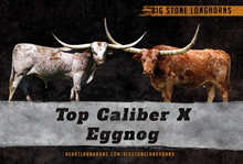 Top Caliber x Eggnog