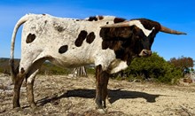 NRR Rocking on Sunshine☀️