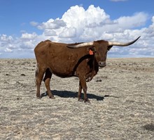 JH RURAL REFUGE